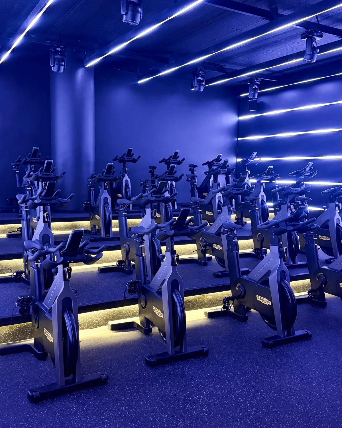 Rows of Technogym bikes under blue light in the Cycling Boutique studio