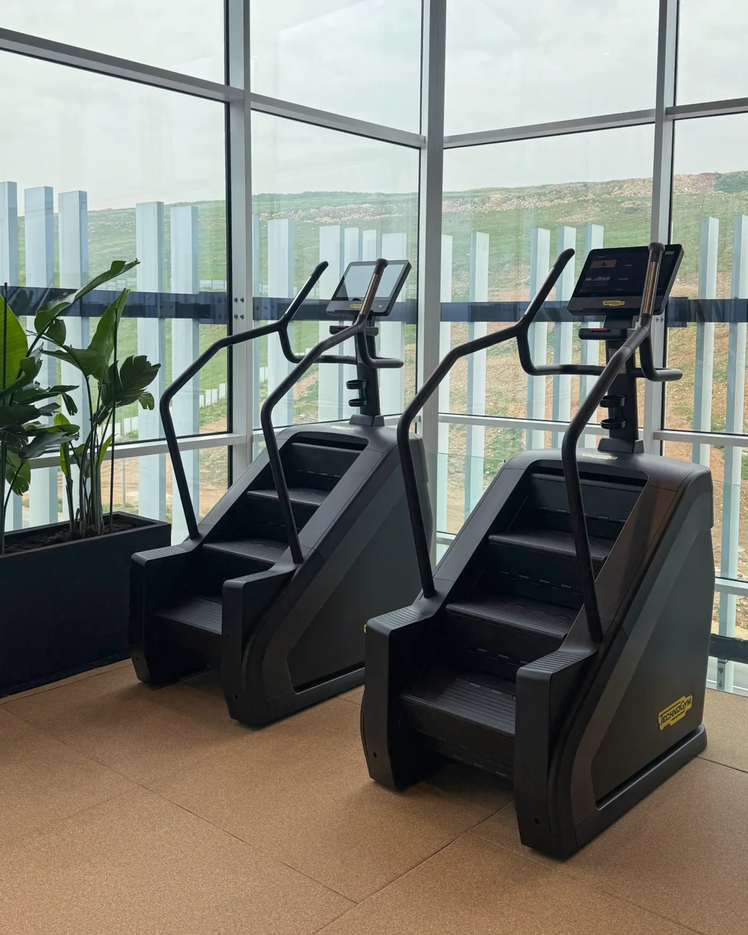 Two stair climbers set against the corner glass, the hills beyond