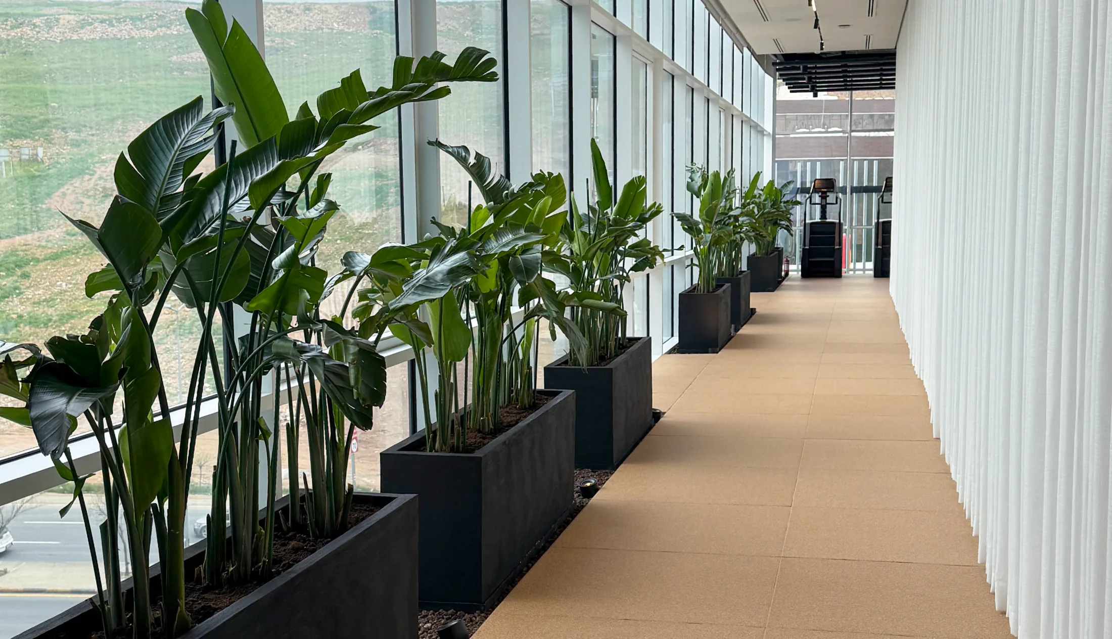 The plant-lined corridor at Vy Boutique, the hills beyond the glass